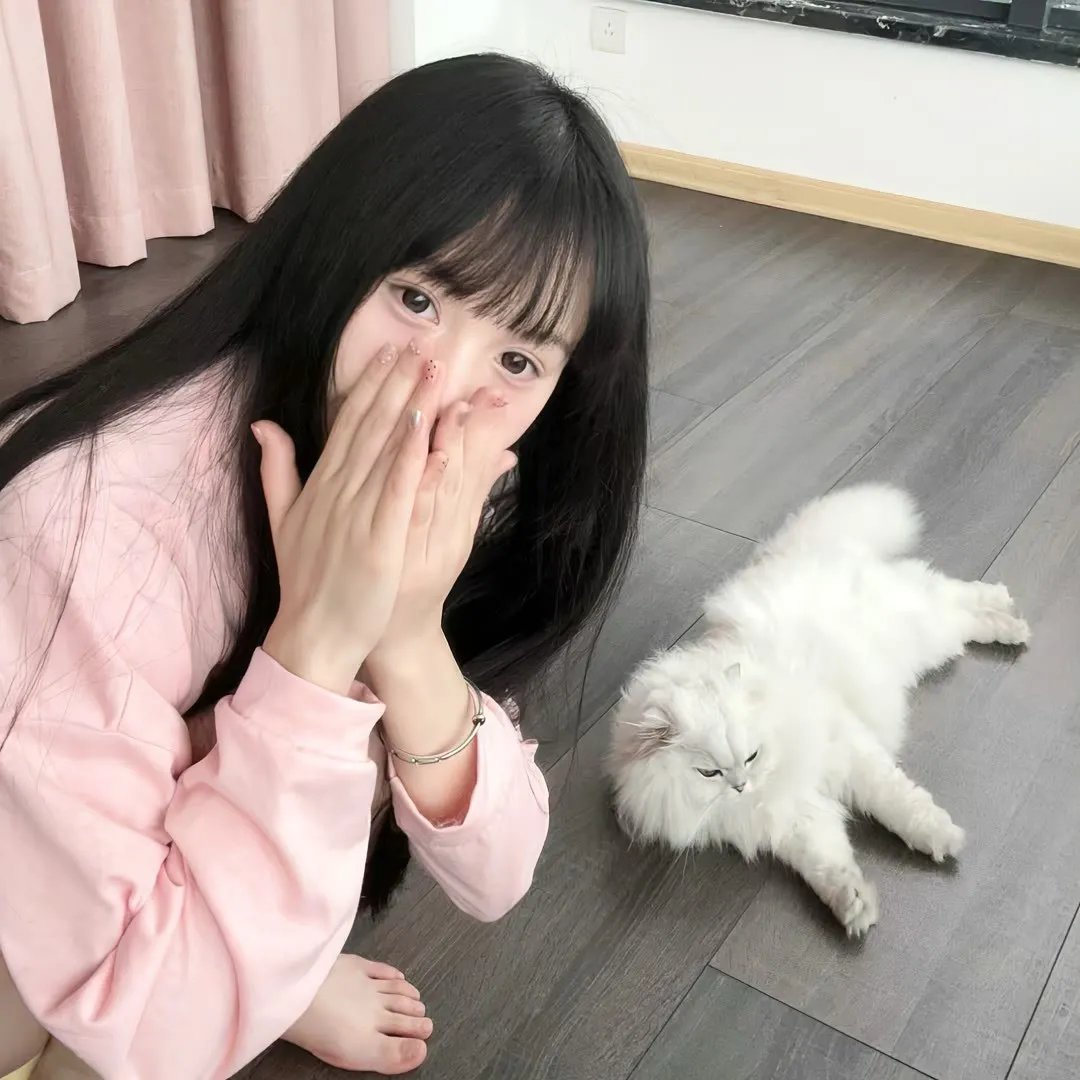 飞鹰