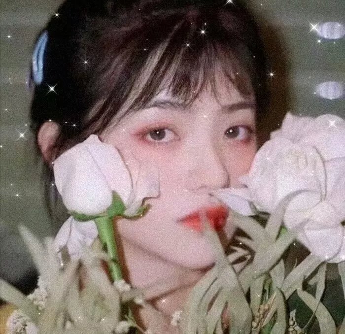 我的猪队友
